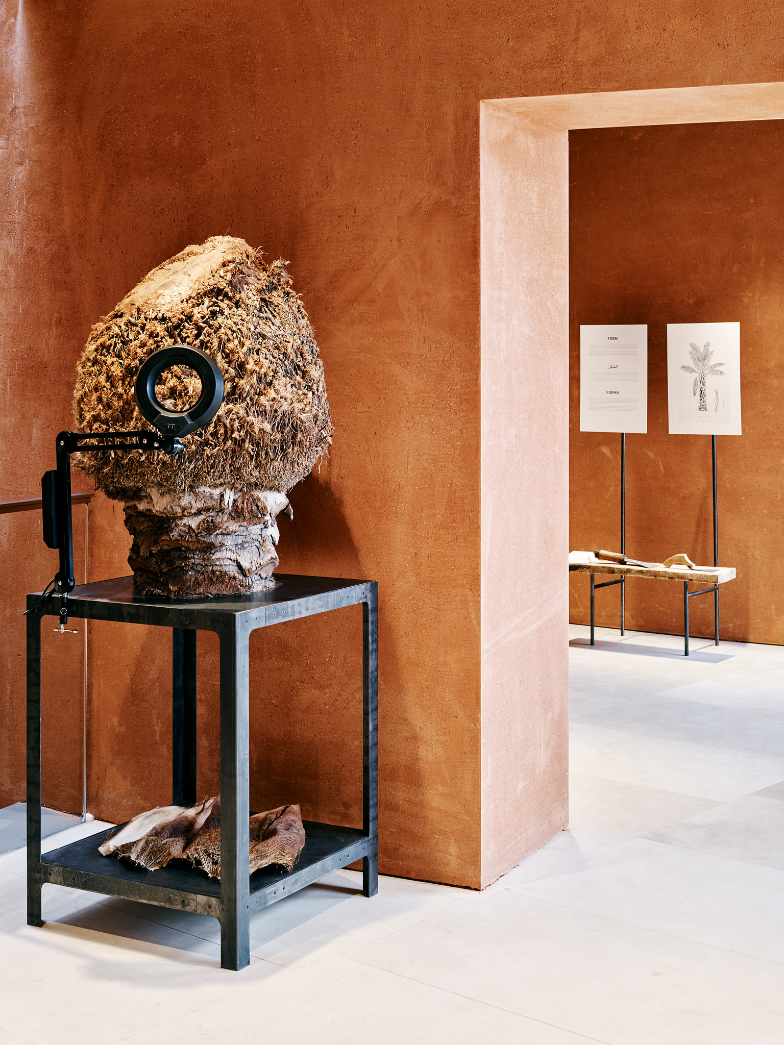 E15547 Alpa 050388 SCREEN